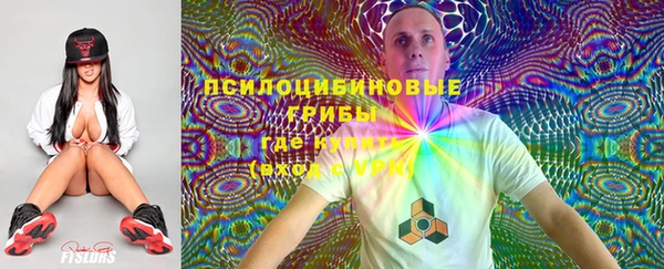 apvp Балахна