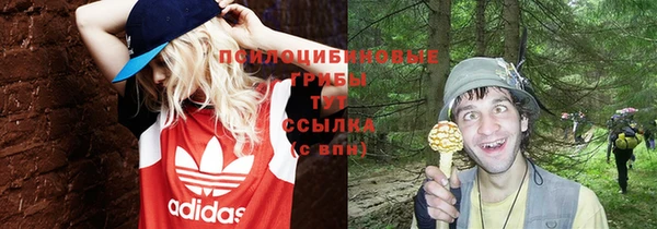 молекула духа Баксан